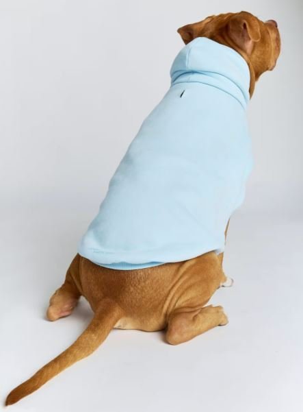 Pastel Paw Hoodie