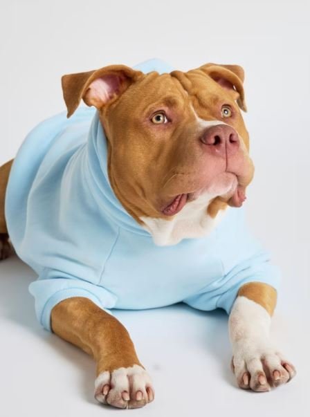 Pastel Paw Hoodie