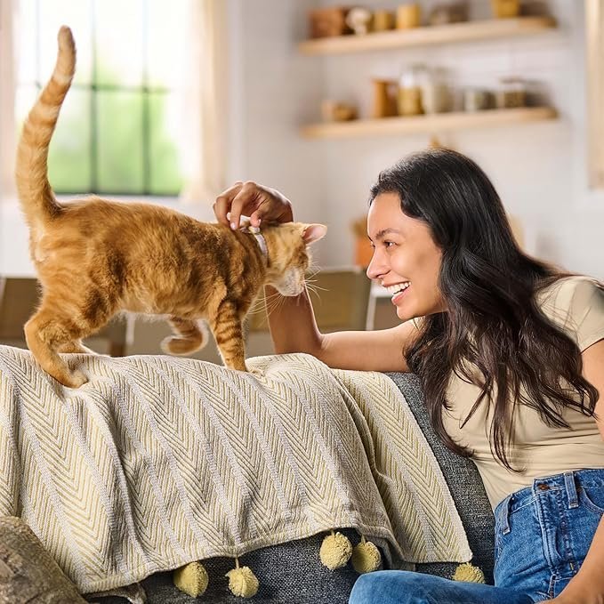 Buy Meow Mix Original Choice Dry Cat Food 6.3 lb Bag | Complete and Balanced Adult Cat Food for Everyday Nutrition